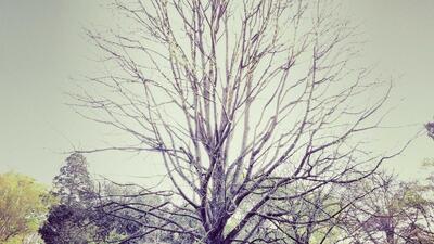 AI芯片设计成亚洲IC产业新引擎，算力需求驱动架构创新