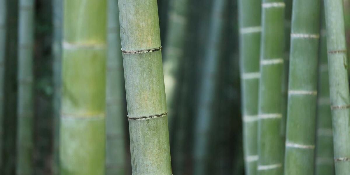 东南亚封测产业转移加速，马来西亚越南成全球封测新重镇